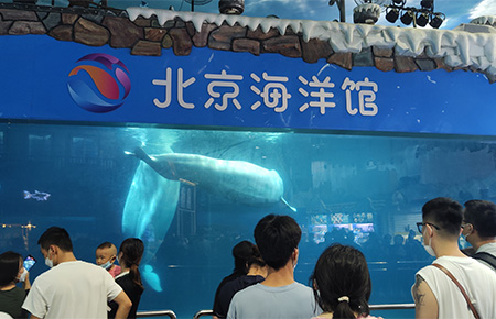 我司助力北京海洋馆数字化运维